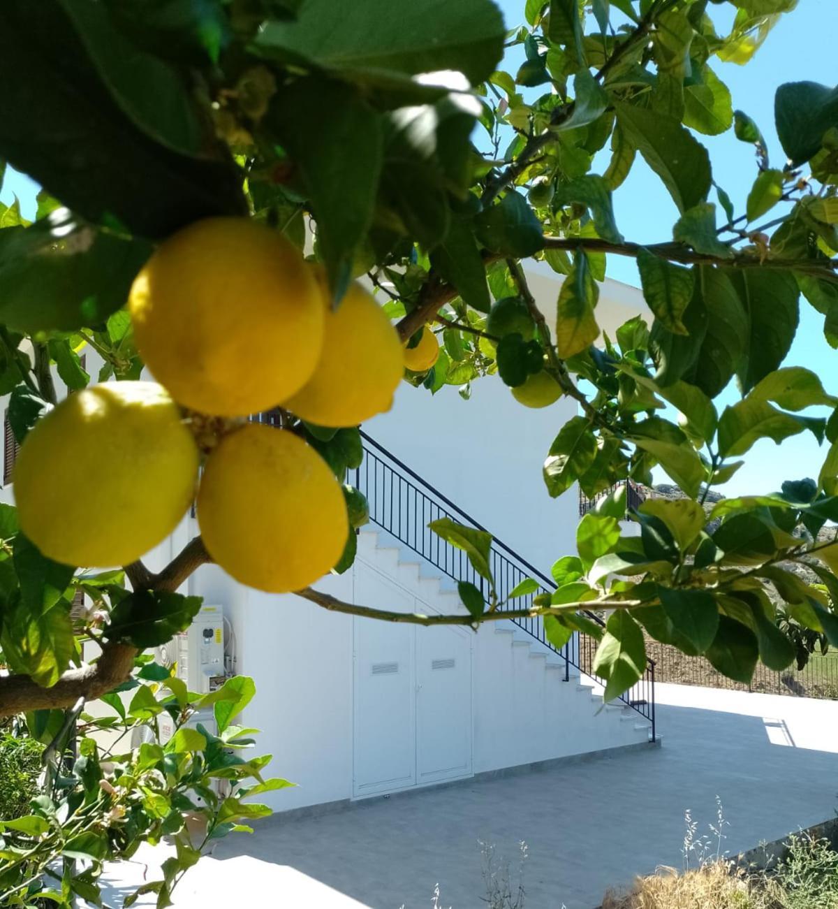Granatelli Holiday Home Altavilla Milicia Exteriér fotografie